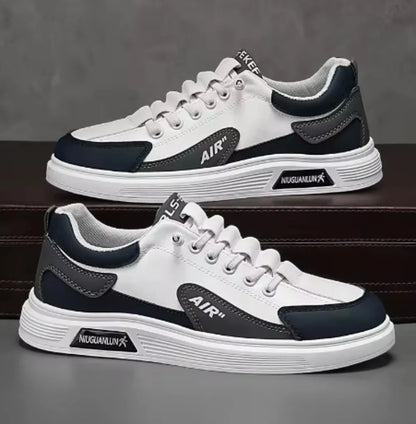 Spring and Autumn New Men's Shoes