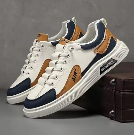 Spring and Autumn New Men's Shoes